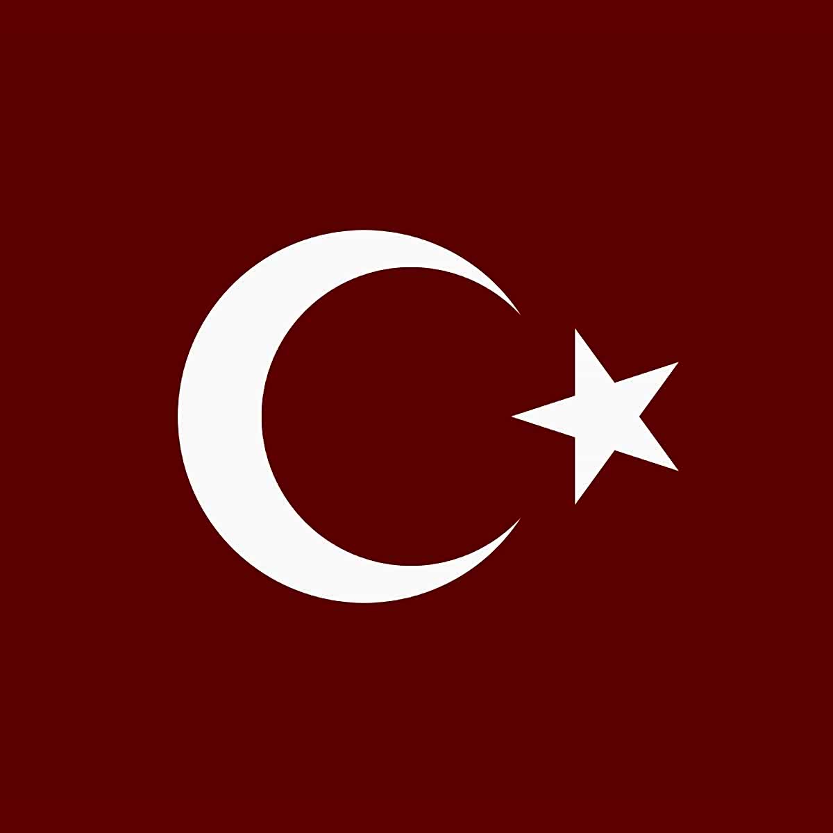 Türkçe