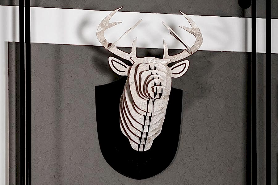 Projeleri Görüntüle